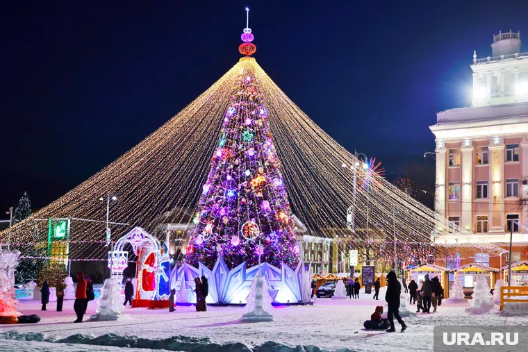 Курганские политики раскрыли, как провели Старый Новый год
