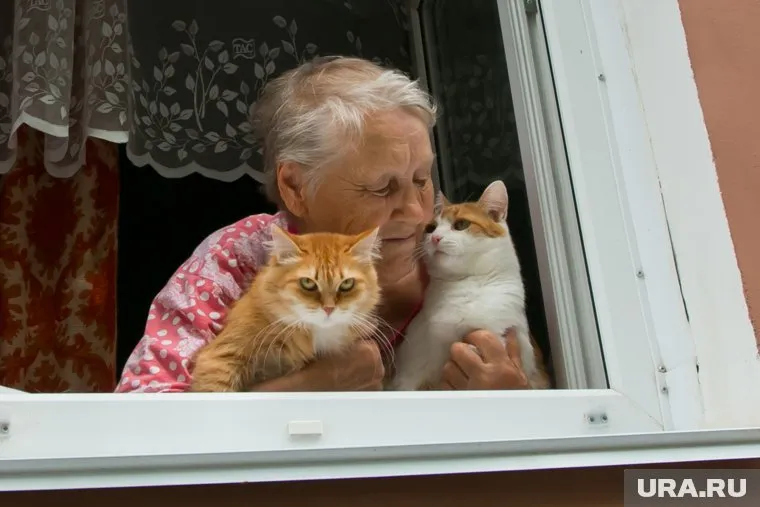 Из-за нервов у пожилых людей обостряются хронические болезни