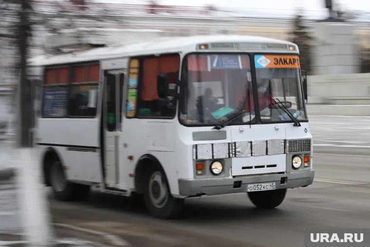 Новое приложение для отслеживания автобусов Кургана находится в стадии запуска