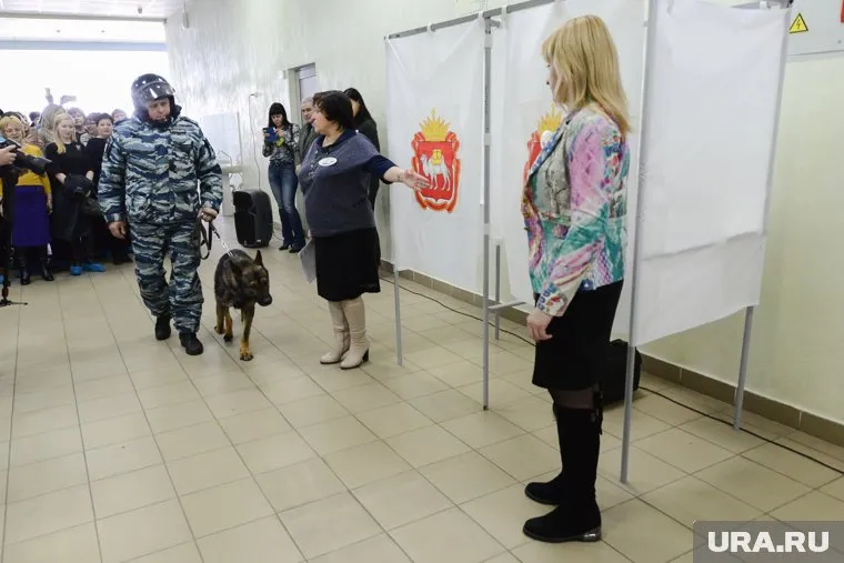 Осенние выборы обещают быть жаркими