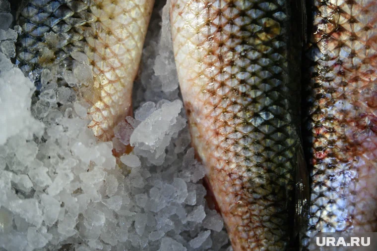 Больше всего Китай поставляет замороженную рыбу