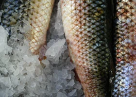 Китай увеличил экспорт рыбы в Россию до рекордного уровня