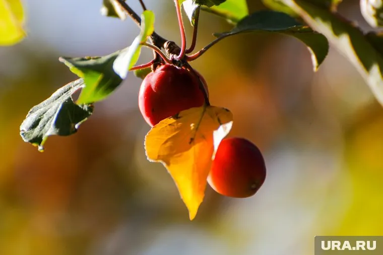 У пермяков еще будет возможность насладиться теплыми деньками