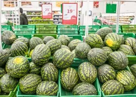 Фотография из галереи