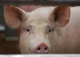 Фотография из галереи