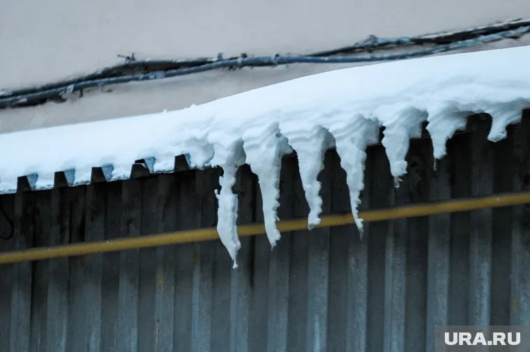 Женщине компенсируют 20 тысяч рублей за моральный вред