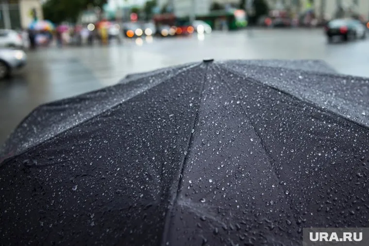 Ведущего унесло вместе с зонтом