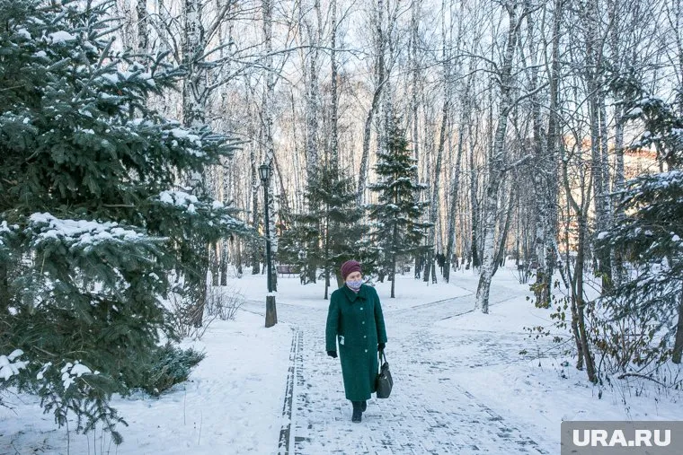 В следующем году власти введут новые выплаты для пенсионеров