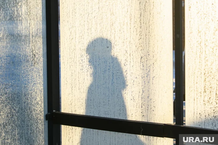 В столицу грядут крещенские морозы