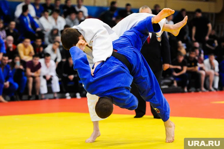 Российские дзюдоисты завоевали шесть наград на соревновании в Испании