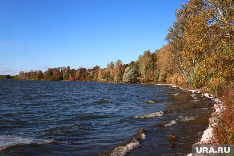 Пять-шесть человек, среди которых может быть ребенок, уехали к Диким озеркам