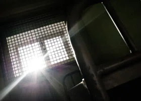 Фотография из галереи