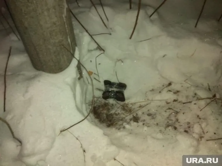 В тайниках нашли свертки с четырьмя килограммами наркотиков