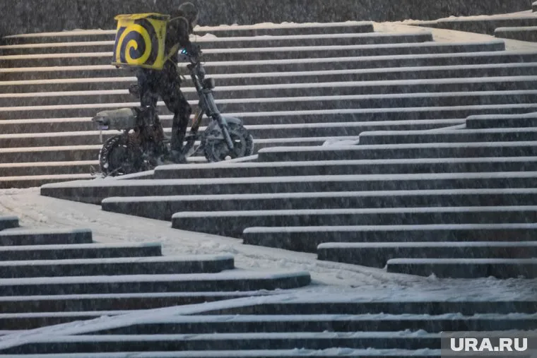 Вместе со снегом на регион обрушится сильный ветер