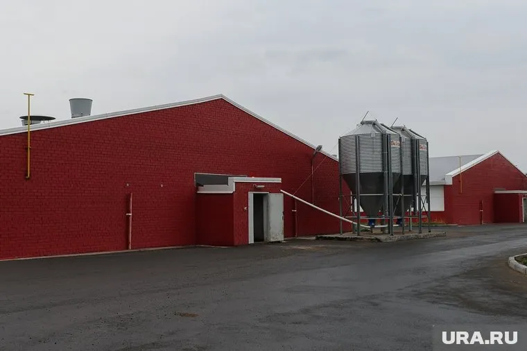 ВСУ атаковали свинокомплекс в Брянской области