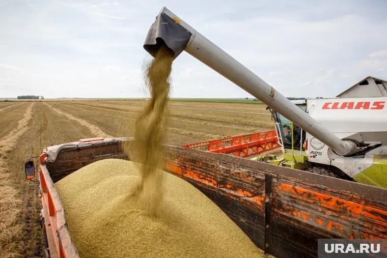 Зауральские аграрии вышли на финишную прямую