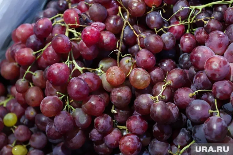 Виноград запретили ввозить и отправили обратно за рубеж