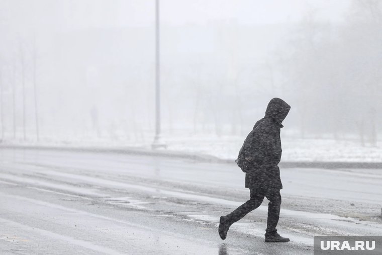 «Снег и минус семь» : челябинцам объявили, какой будет первая неделя ноября. Скрин