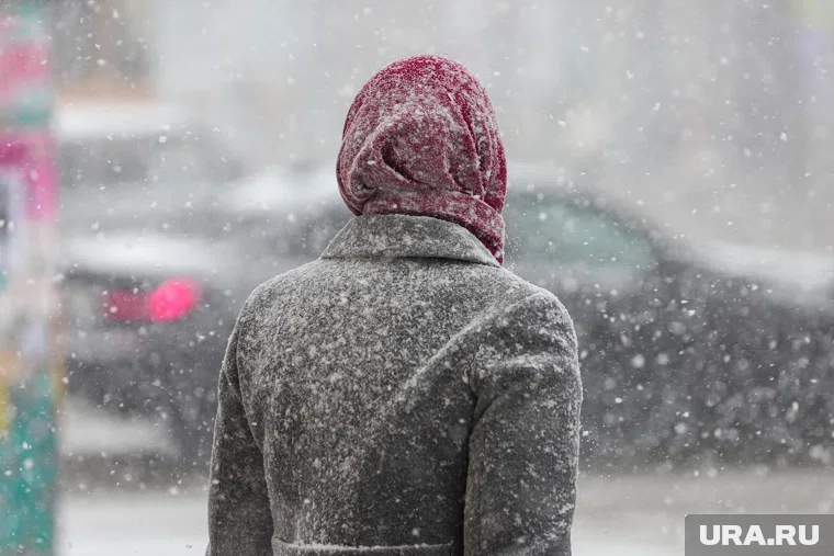 Снегопад прогнозируют ночью 2 ноября в Нижневартовском районе