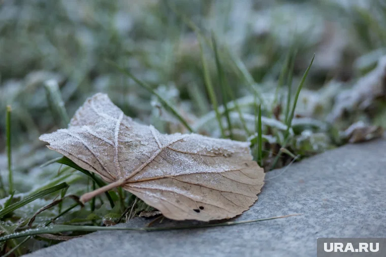 В ближайшие часы похолодает до -3 градусов 
