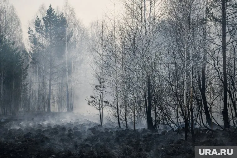Запах гари из Свердловской области уже дошел до соседнего региона