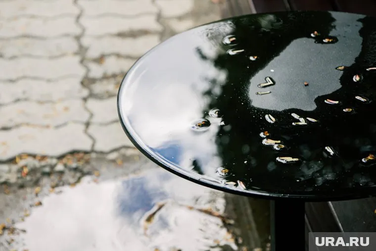 Кратковременные дожди в области будут до конца недели