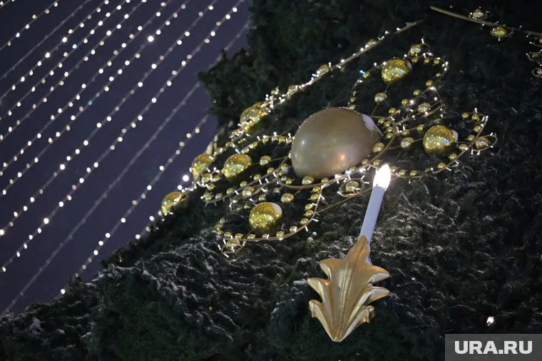 Елка будет готова к середине декабря