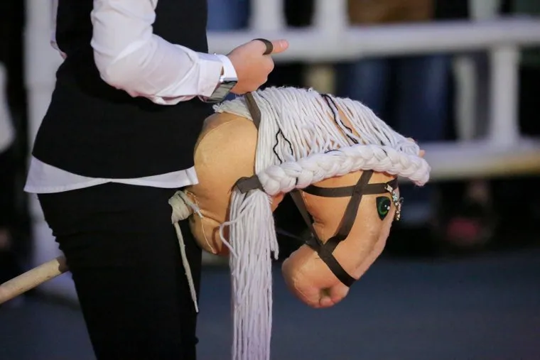 На конных соревнованиях научат хоббихорсингу