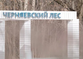 Черняевский лес в Перми подготовят к зиме более чем за миллион рублей