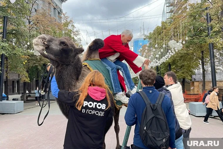 Слезть с животного стилист смог только с помощью лестницы