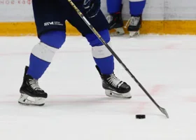 Фотография из галереи