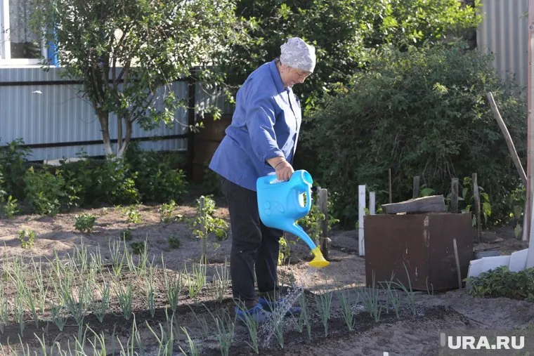 В Челябинской области в июле по сравнению с маем спрос на дачи вырос на 75%