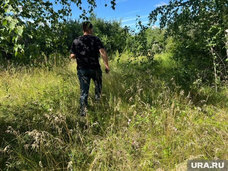 В Челябинской области десятые сутки ищут пропавшего мальчика