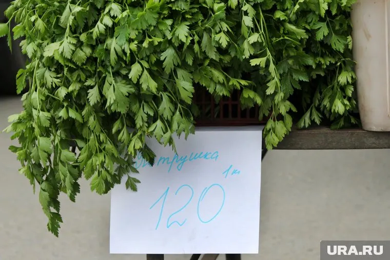 Зелень легко конвертировалась в доллары, которые направлялись в Турцию