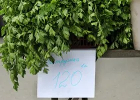 Бизнес Ровшана Ленкоранского на Урале: «Купил пучок петрушки — отдал рубль на войну с Дедом Хасаном»