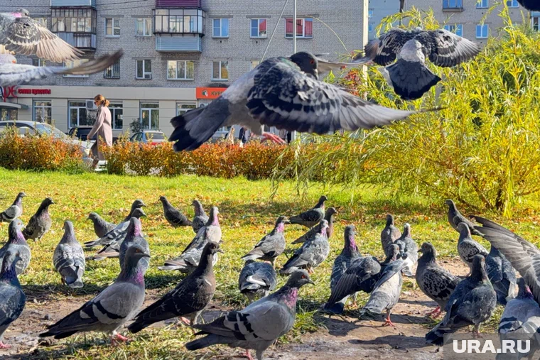 В этой квартире ранее проводили санитарную обработку