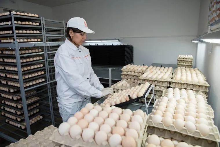 Посещение губернатором ХМАО Натальи Комаровой птицефабрики "Белоярочка". Сургут