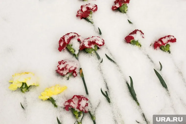 Ребенок скончался на месте