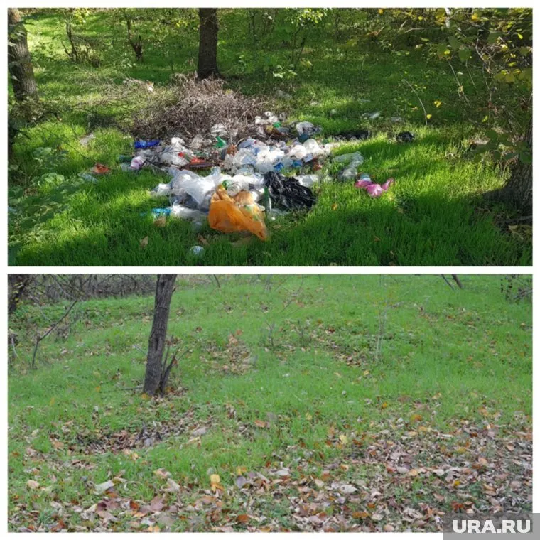 Снимки «до и после» похожи «до каждого пикселя»