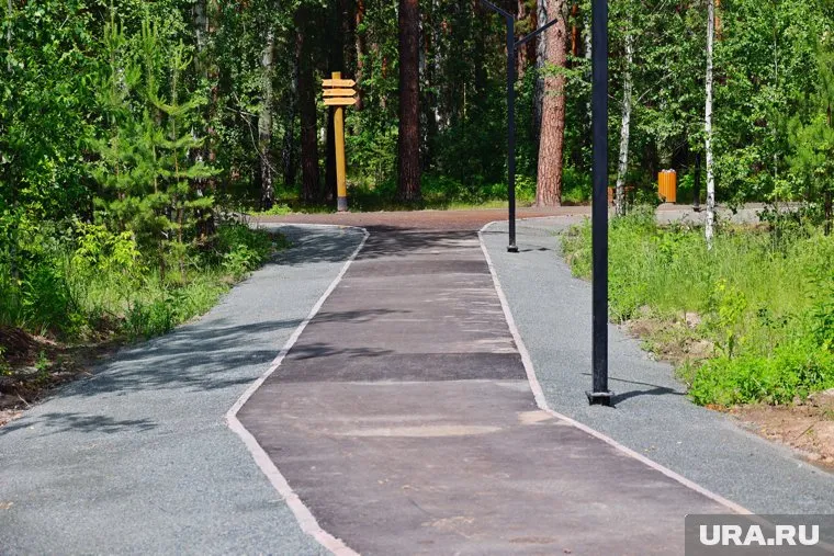 Экотропу должны благоустроить до 31 августа, но местные власти не могут найти подрядчика (архивное фото)
