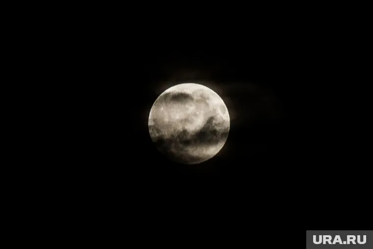 Россия построит возвращаемый аппарат для доставки животных в окрестности Луны