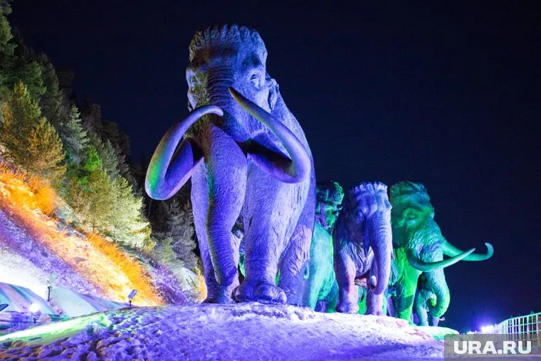 Создавшее легендарных мамонтов Ханты-Мансийска «ВНСС» может сменить владельца в ближайшее время — олигарх Андрей Копайгора теряет контроль над активами