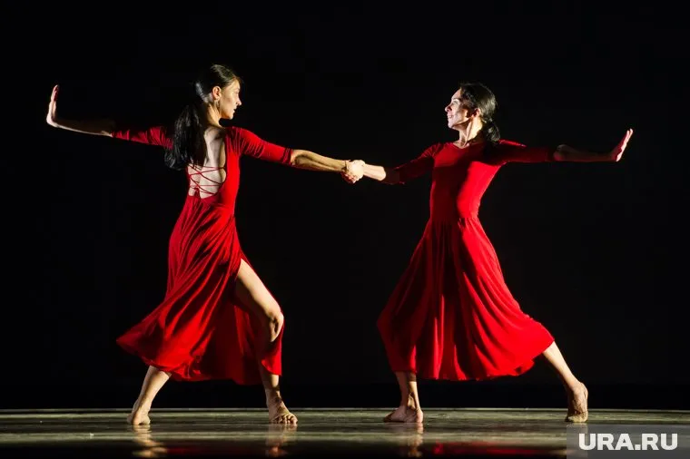 Программа уже доступна для клиентов одной из танцевальных студий Перми
