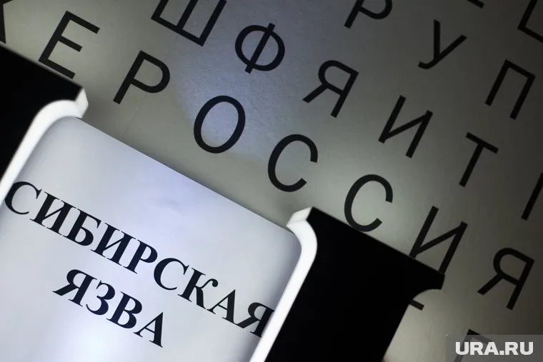 В сообществах Ямала набирает популярность стихотворение о сибирской язве