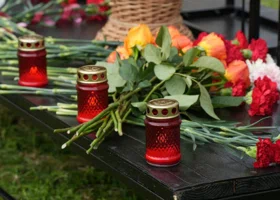 Фотография из галереи