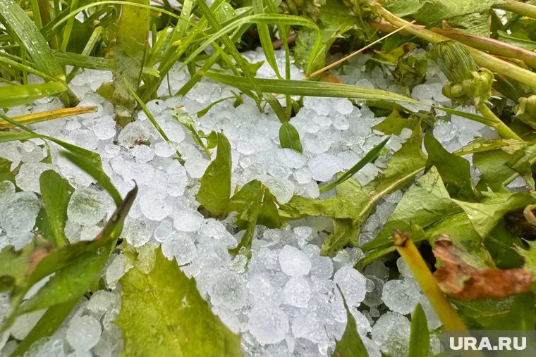 Ливень с градом и ветром 25 метров в секунду ожидается в ближайшие сутки