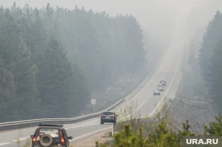 Дорожники призвали водителей быть внимательнее (фото из архива)
