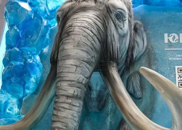 Фотография из галереи