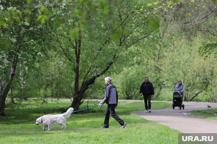Участие в программе ФКГС поможет за несколько лет привести все парки Екатеринбурга в порядок