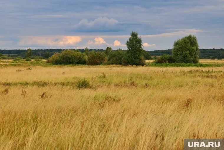 Задержание произошло в Реже (архивное фото)